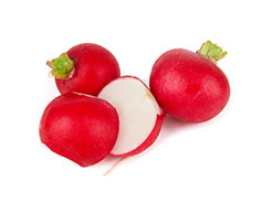 Radish