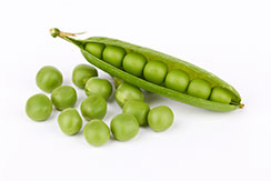 Green-Pea